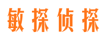 明山市侦探调查公司